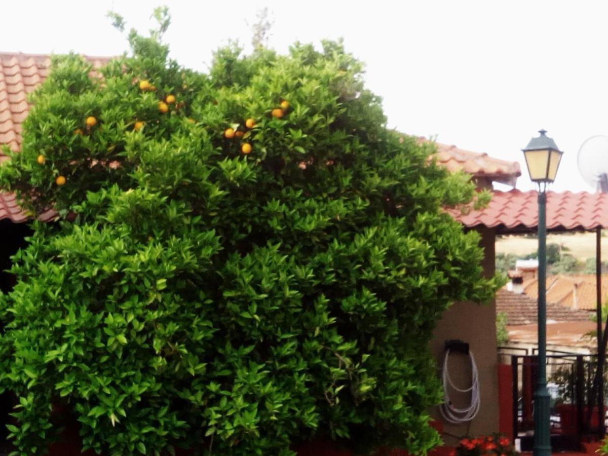 Maison Des Amis Vatopédhion Esterno foto